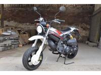 Suzuki street magic 110